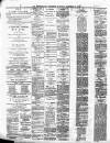 Newtownards Chronicle & Co. Down Observer Saturday 20 November 1875 Page 2