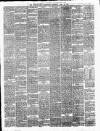 Newtownards Chronicle & Co. Down Observer Saturday 27 April 1878 Page 3