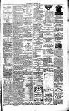 Crewe Chronicle Saturday 22 January 1876 Page 3