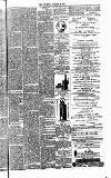 Crewe Chronicle Saturday 25 November 1876 Page 7