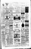 Crewe Chronicle Saturday 25 January 1879 Page 3