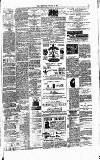 Crewe Chronicle Saturday 22 January 1881 Page 3
