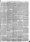 Maidenhead Advertiser Wednesday 20 April 1870 Page 3