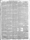 Maidenhead Advertiser Wednesday 27 April 1870 Page 5