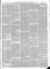 Maidenhead Advertiser Wednesday 22 June 1870 Page 5