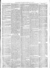 Maidenhead Advertiser Wednesday 29 June 1870 Page 3