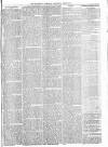 Maidenhead Advertiser Wednesday 29 June 1870 Page 5