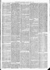 Maidenhead Advertiser Wednesday 27 July 1870 Page 3