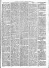 Maidenhead Advertiser Wednesday 03 August 1870 Page 3