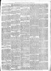 Maidenhead Advertiser Wednesday 17 August 1870 Page 3