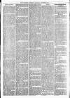 Maidenhead Advertiser Wednesday 07 September 1870 Page 5