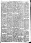 Maidenhead Advertiser Wednesday 16 November 1870 Page 5