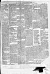 Maidenhead Advertiser Wednesday 31 January 1872 Page 3