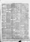 Maidenhead Advertiser Wednesday 06 March 1872 Page 3