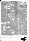 Maidenhead Advertiser Wednesday 03 April 1872 Page 3