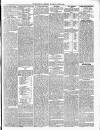 Maidenhead Advertiser Wednesday 05 August 1874 Page 3