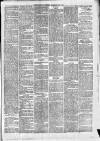Maidenhead Advertiser Wednesday 07 July 1875 Page 3