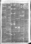 Maidenhead Advertiser Wednesday 11 August 1875 Page 3