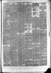 Maidenhead Advertiser Wednesday 01 September 1875 Page 3