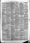 Maidenhead Advertiser Wednesday 08 September 1875 Page 3