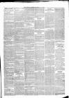 Maidenhead Advertiser Wednesday 12 January 1876 Page 3