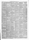 Maidenhead Advertiser Wednesday 09 February 1876 Page 3