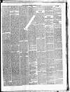Maidenhead Advertiser Wednesday 20 November 1878 Page 3