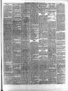 Maidenhead Advertiser Wednesday 19 March 1879 Page 3