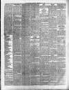Maidenhead Advertiser Wednesday 04 February 1880 Page 3