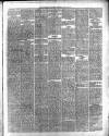 Maidenhead Advertiser Wednesday 10 March 1880 Page 3