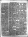 Maidenhead Advertiser Wednesday 07 April 1880 Page 3