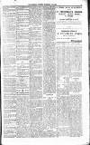 Maidenhead Advertiser Wednesday 16 January 1895 Page 5