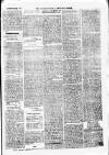 South Yorkshire Times and Mexborough & Swinton Times Friday 30 November 1877 Page 7