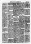 South Yorkshire Times and Mexborough & Swinton Times Friday 04 October 1878 Page 6