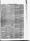 South Yorkshire Times and Mexborough & Swinton Times Friday 30 January 1880 Page 5
