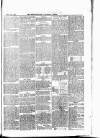 South Yorkshire Times and Mexborough & Swinton Times Friday 16 April 1880 Page 5