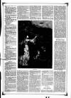 Blyth News Saturday 23 May 1874 Page 11
