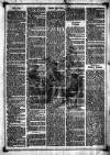 Blyth News Saturday 20 June 1874 Page 6