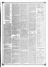 Blyth News Saturday 19 September 1874 Page 7