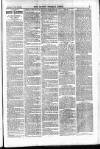 Blyth News Saturday 26 January 1884 Page 3