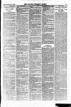 Blyth News Saturday 14 November 1885 Page 3