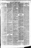 Blyth News Saturday 19 December 1885 Page 3