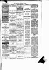 Blyth News Saturday 11 January 1890 Page 7