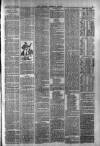 Blyth News Saturday 25 March 1893 Page 3