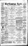 Glamorgan Gazette Friday 01 June 1894 Page 1