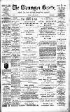 Glamorgan Gazette Friday 15 June 1894 Page 1