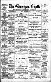 Glamorgan Gazette Friday 16 November 1894 Page 1