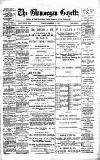 Glamorgan Gazette Friday 14 December 1894 Page 1