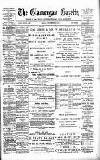 Glamorgan Gazette Friday 28 December 1894 Page 1