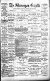 Glamorgan Gazette Friday 25 January 1895 Page 1